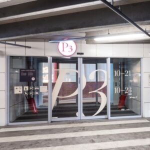 Ieeja P3