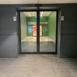Ieeja P2 Green